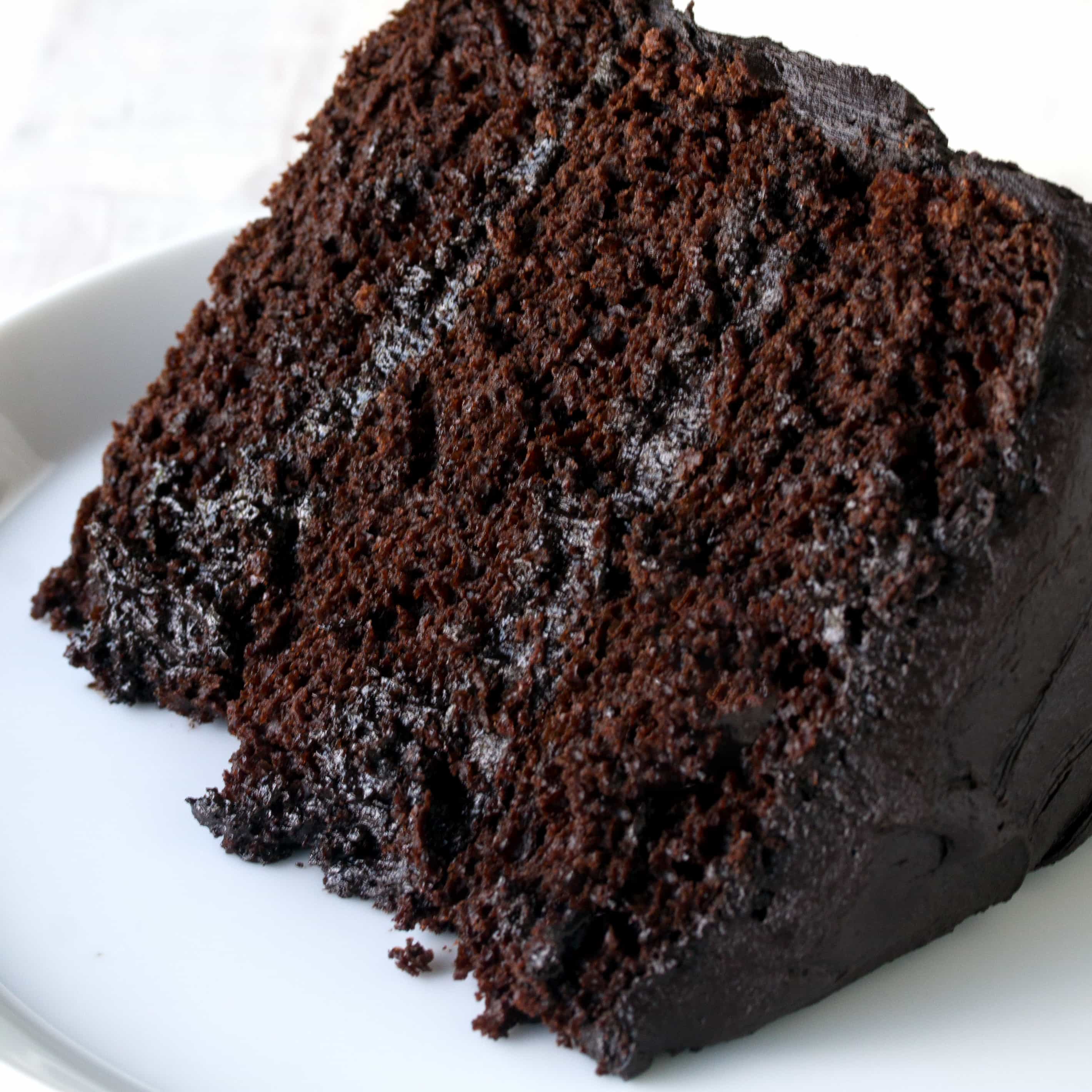 The Most Amazing Chocolate Cake - thestayathomechef.com