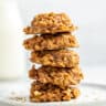 Classic No Bake Cookies Thestayathomechef