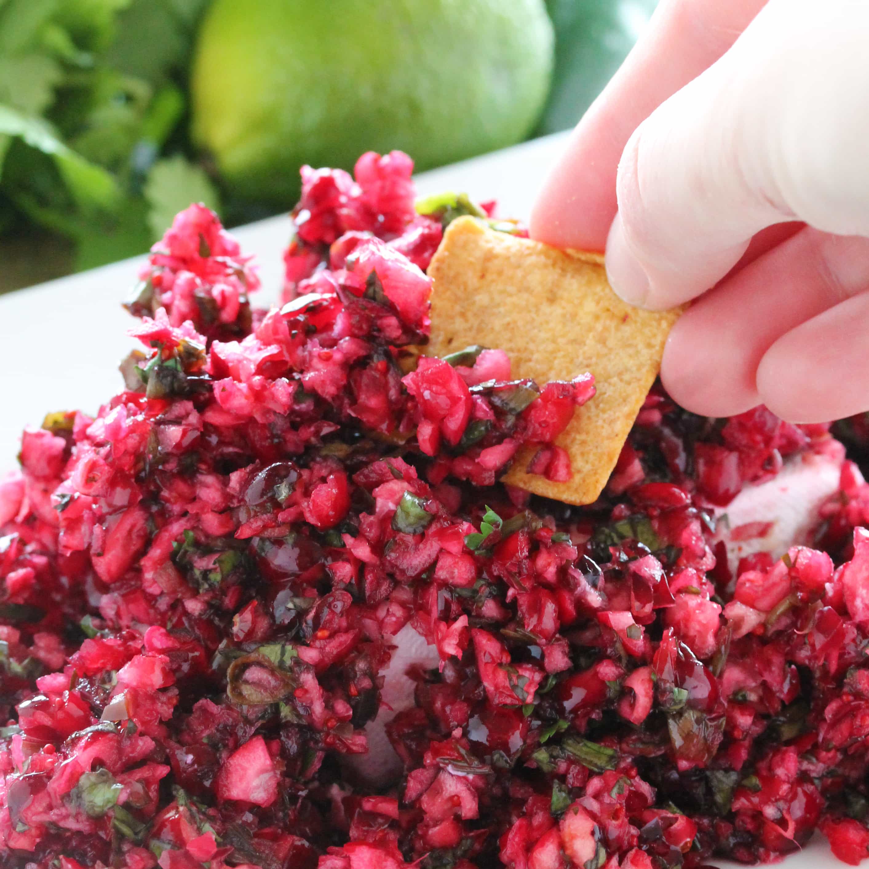 Fresh cranberries are minced up into a healthy, fresh, and vibrant salsa.