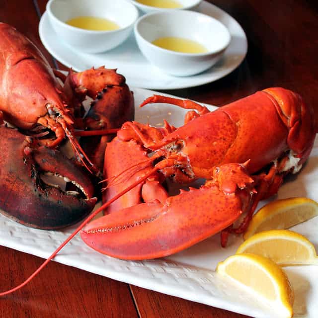 How to Cooke Live Lobster - 61