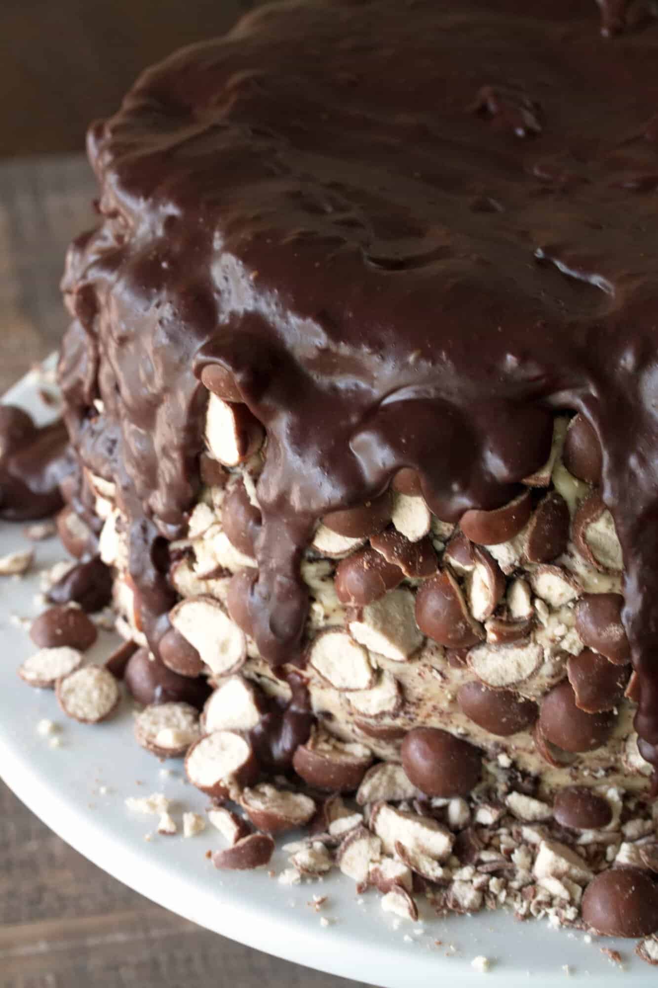 Close up of a triple malt chocolate cake to show the ganche and toppings on the side. 