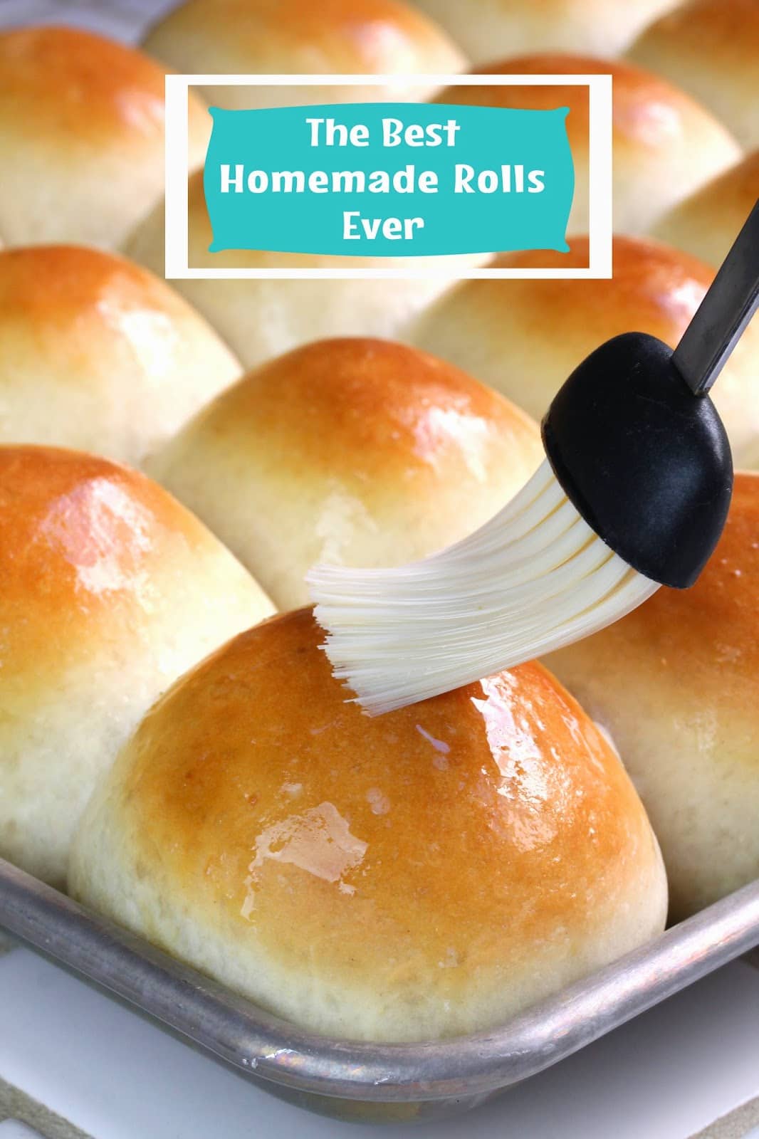 The Best Homemade Dinner Rolls Ever! - thestayathomechef.com