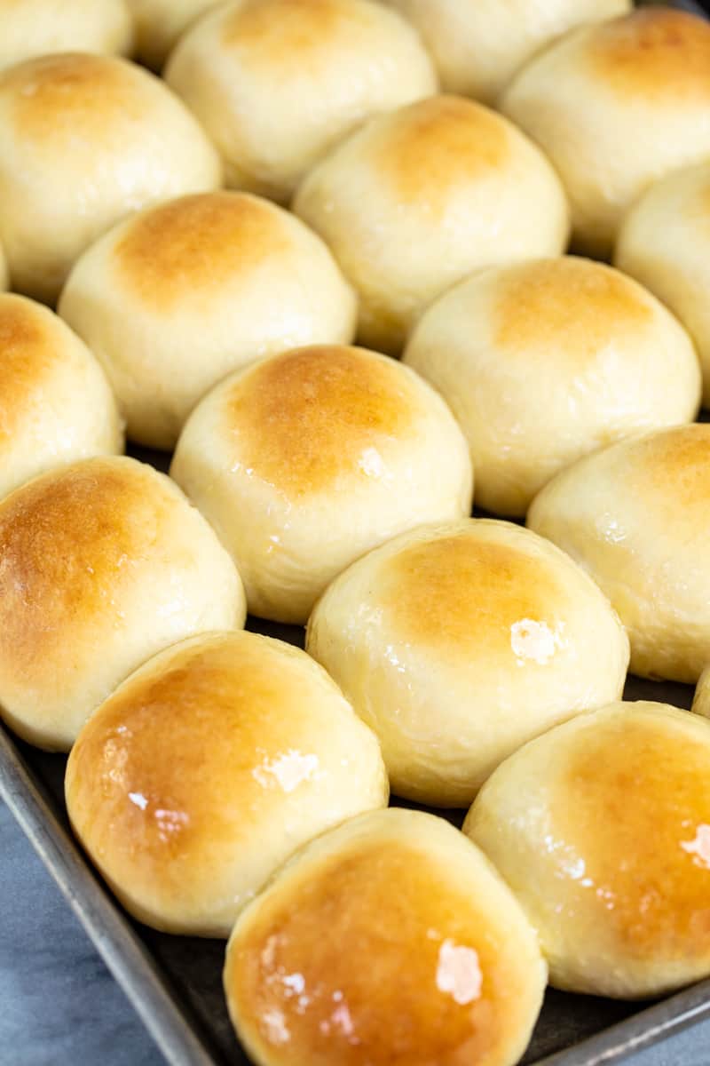 Dinner Roll on a baking sheet.