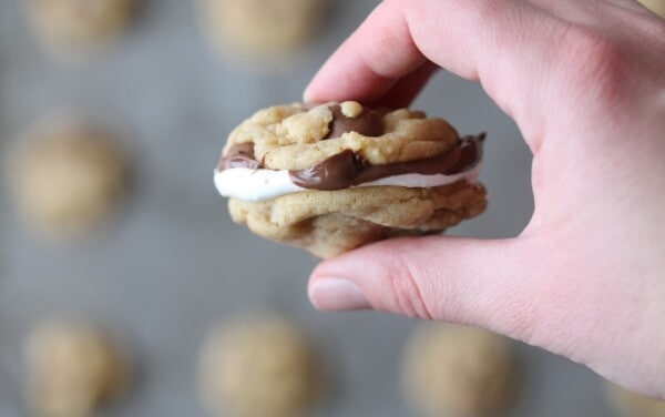 A hand holding a nutella cream chocolate chip sandwich cookie