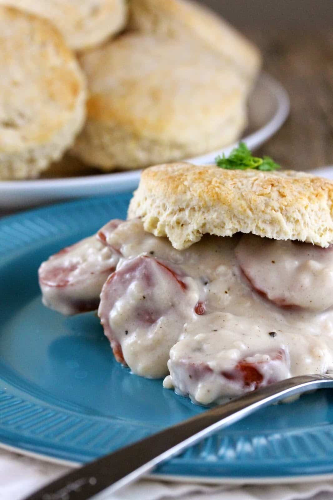 biscuits and gravy - 63