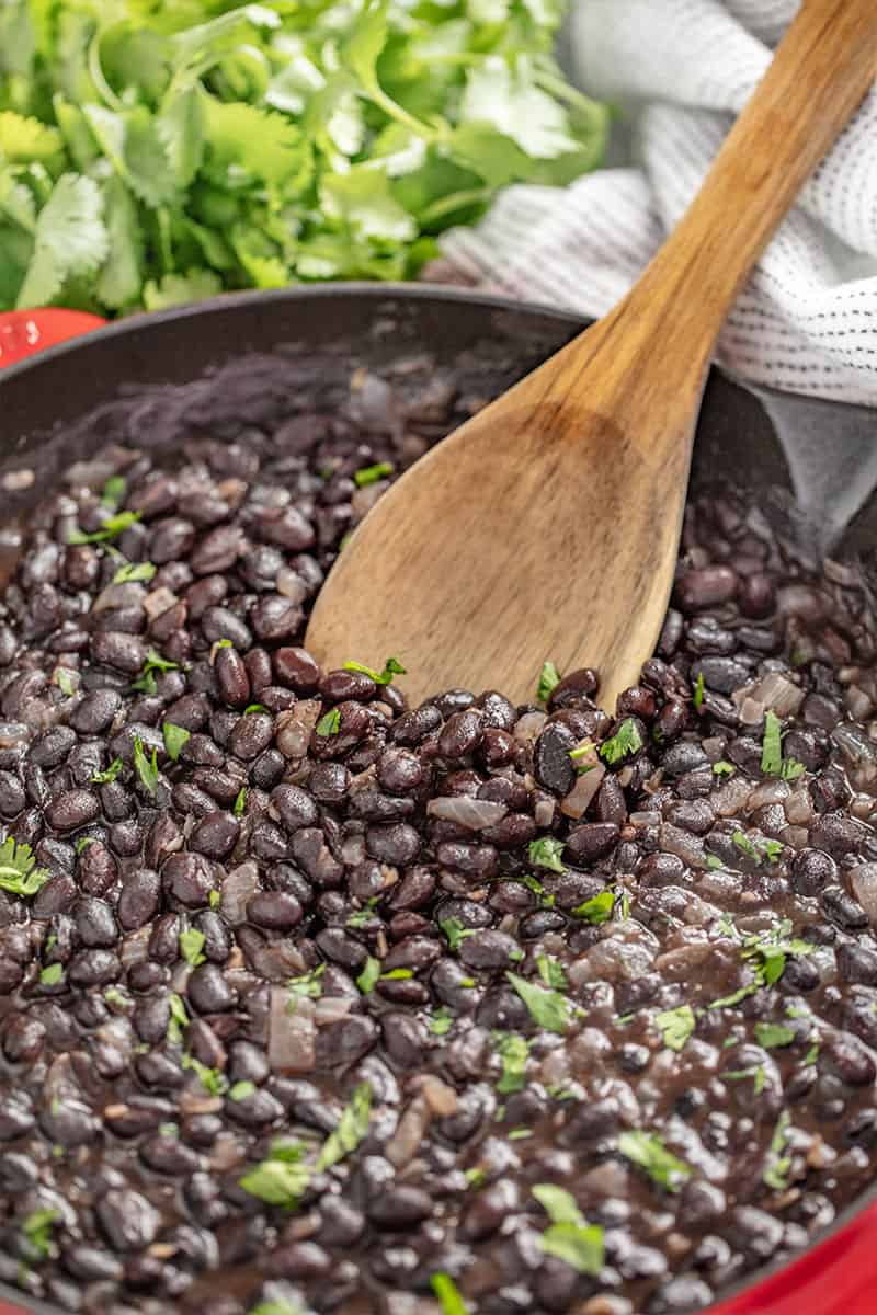 Mexican-Black-Beans-2 - thestayathomechef.com