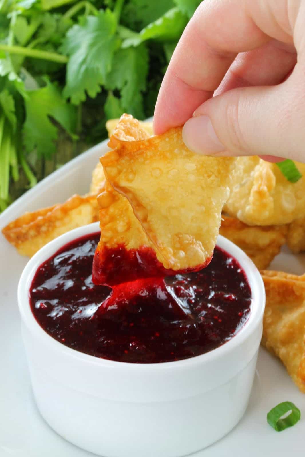 crab rangoons cranberry sweet sour saue - 30