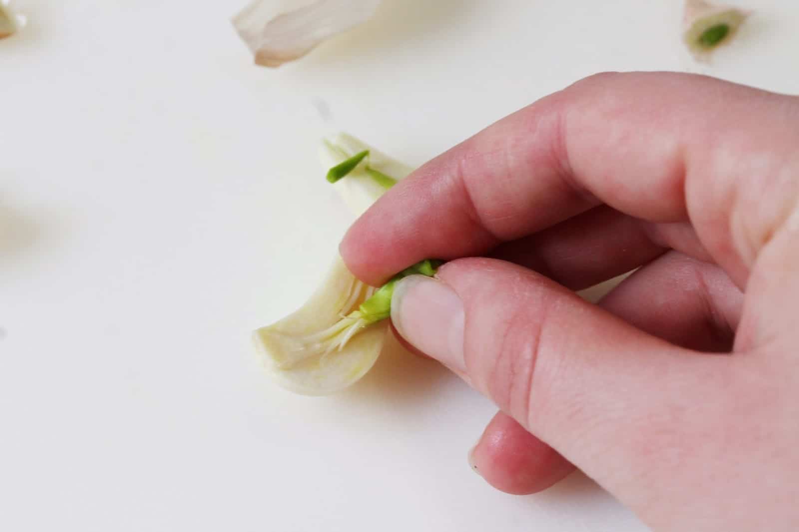 You can now grab on to that green center and pull it out, leaving the rest of the garlic to use for your recipe!