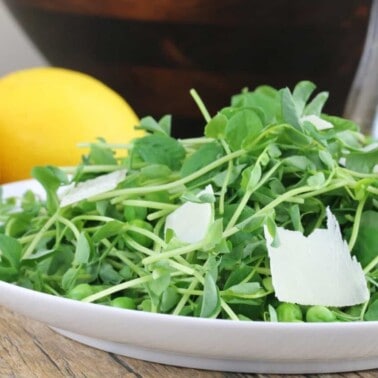 Close up view of pea shoot salad on a white plate garnished with shaved parmesan