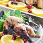 Easy Cran-Orange Cornish Hens