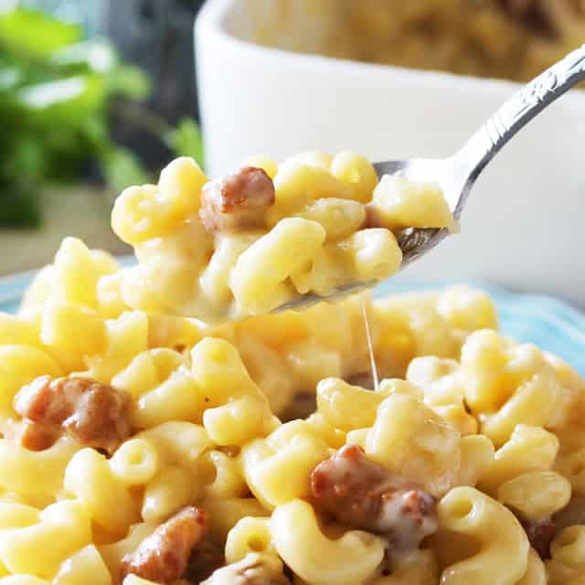 A forkful of Gourmet Bacon Mac and Cheese is lifted from the plate