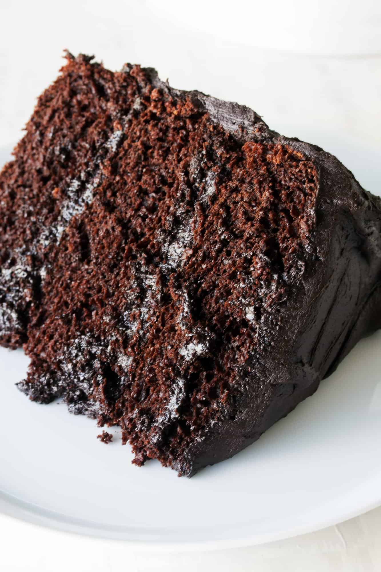 The Most Amazing Chocolate Cake - thestayathomechef.com