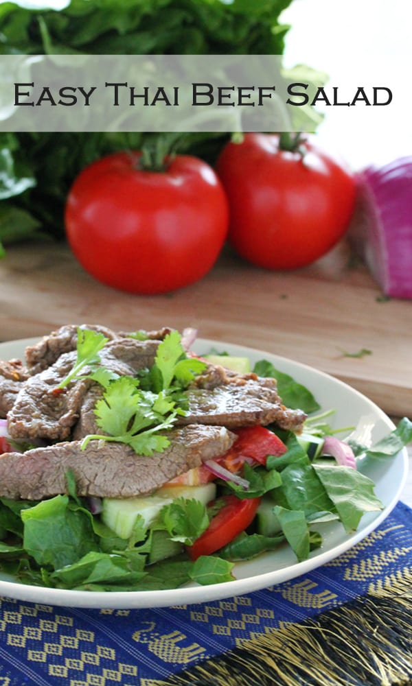 out and make this Easy Thai Beef Salad that tastes just like it came from a restaurant Easy Thai Beef Salad