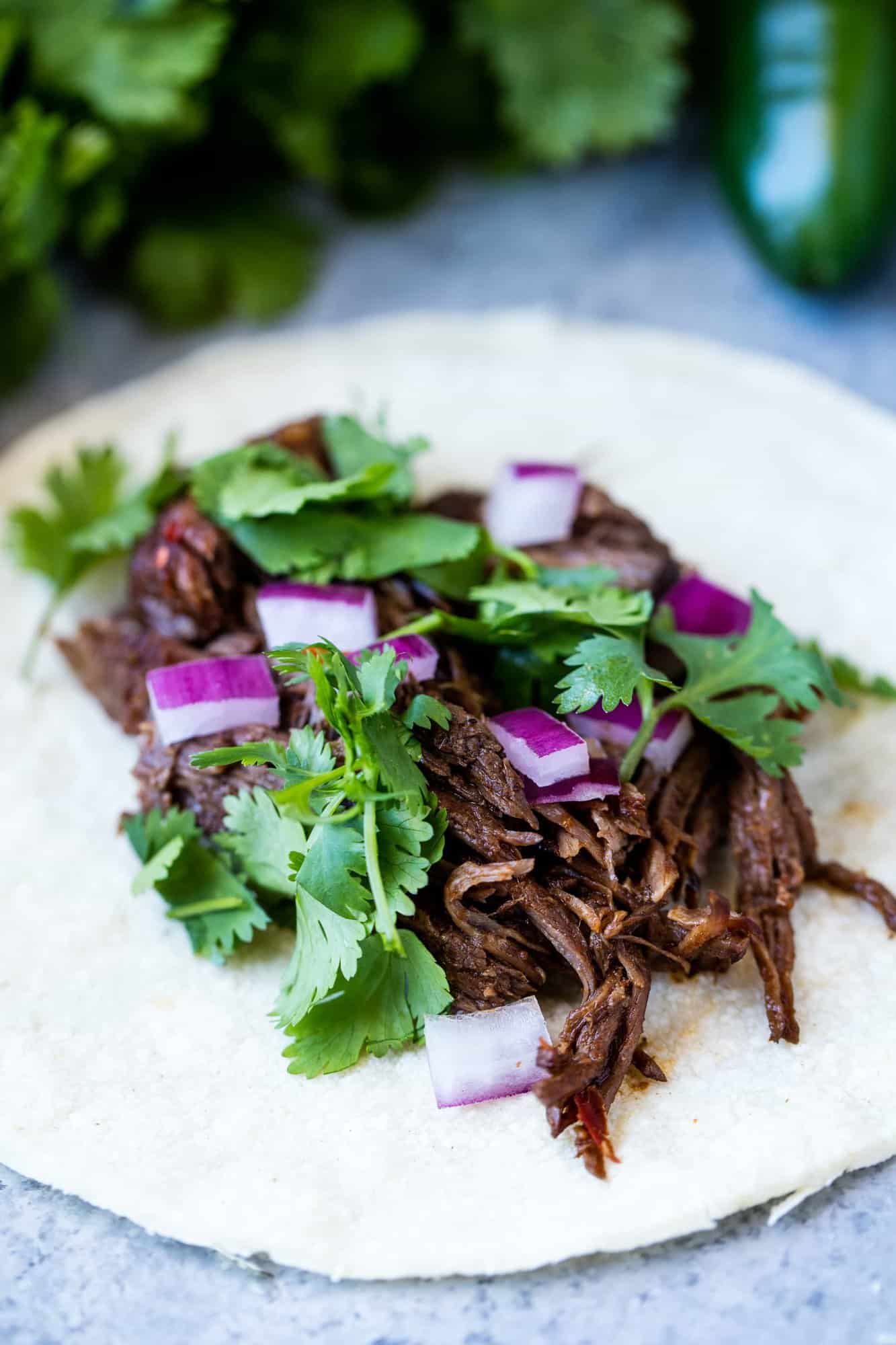 Shredded Mexican Beef Barbacoa sitting on a corn tortilla topped with cilantro and red onion