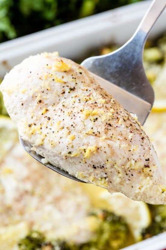 Close up of lemon chicken being held by a spatula over a pan full of lemon garlic chicken broccoli bake. 