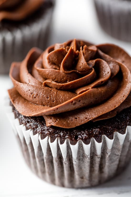 A chocolate cupcake with chocolate frosting