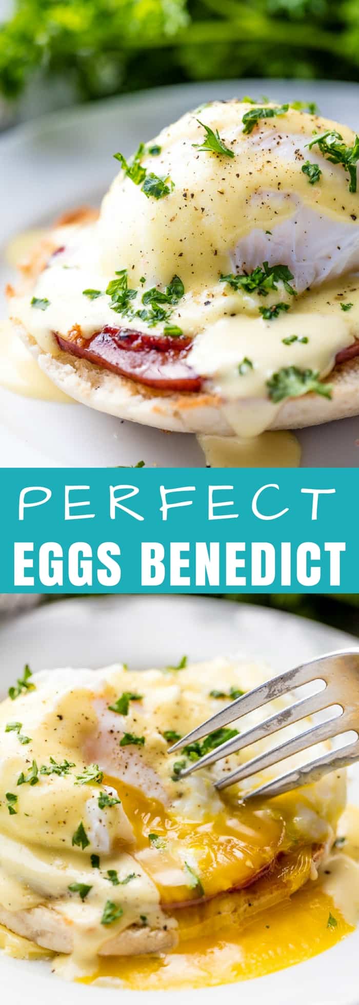 Perfect Eggs Benedict are easier to achieve than you might think. You only need 15 minutes to serve up an amazing Eggs Benedict breakfast with Canadian bacon and a quick blender hollandaise sauce. 