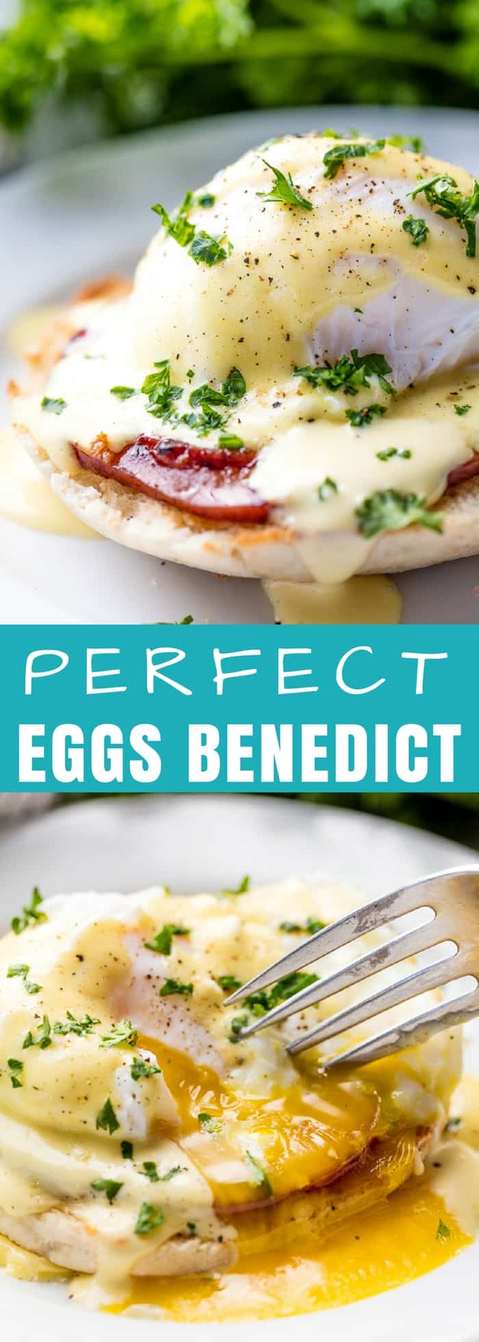 Perfect Eggs Benedict - thestayathomechef.com