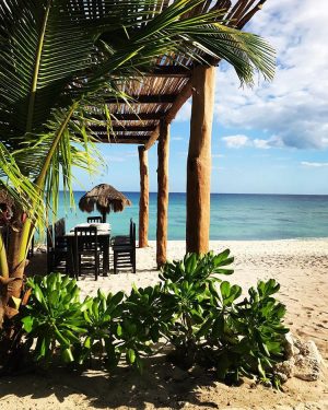 A shade structure on the beach next to the ocean with a table and chairs. Palm tree and foliage in the foreground