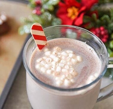 Homemade Hot Chocolate using Hot Chocolate Spoons