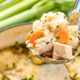 A closeup view of a ladle of chicken and dumplings being scooped from the pot.