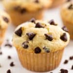 Close up of a chocolate chip muffin.