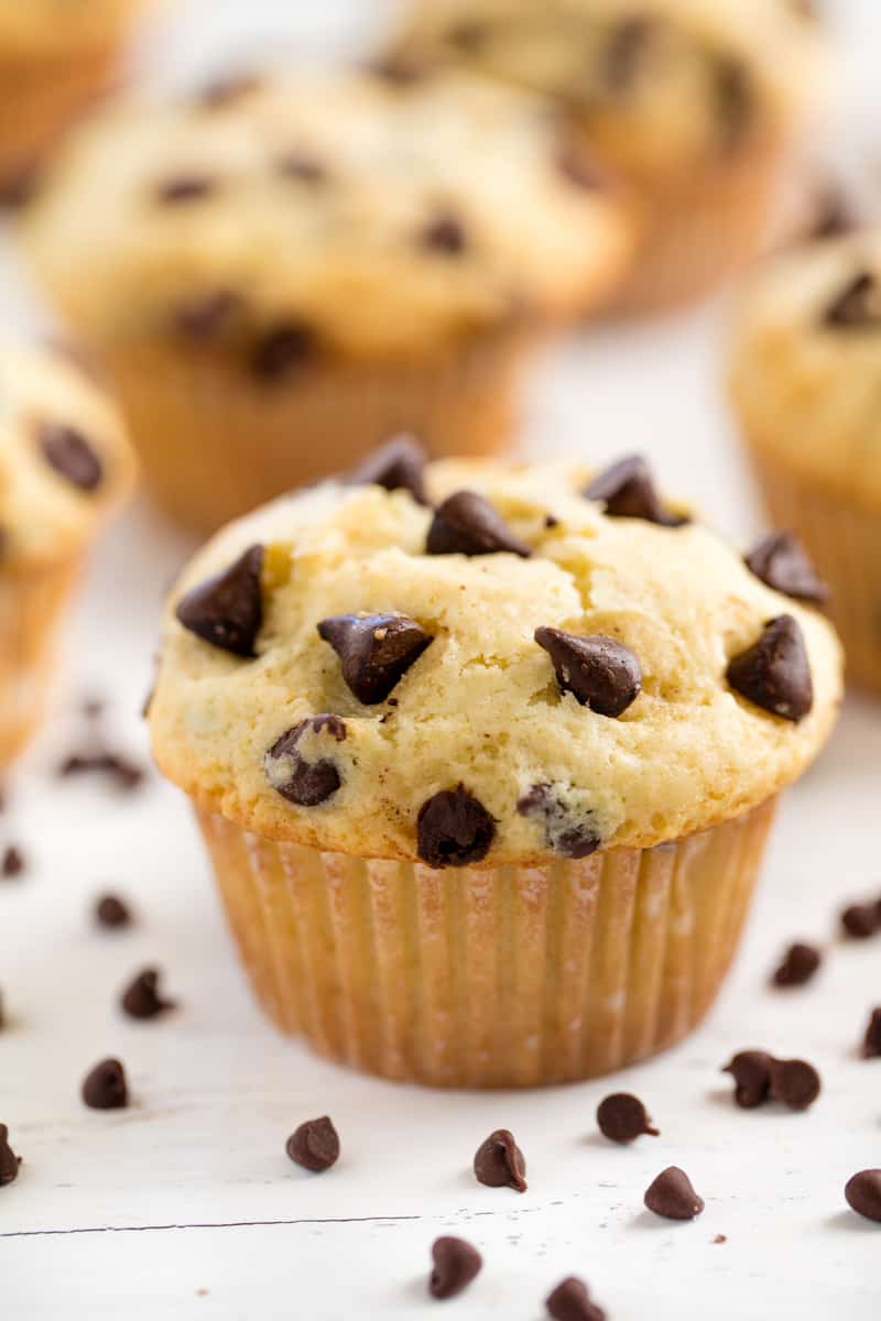 Close up of a chocolate chip muffin.