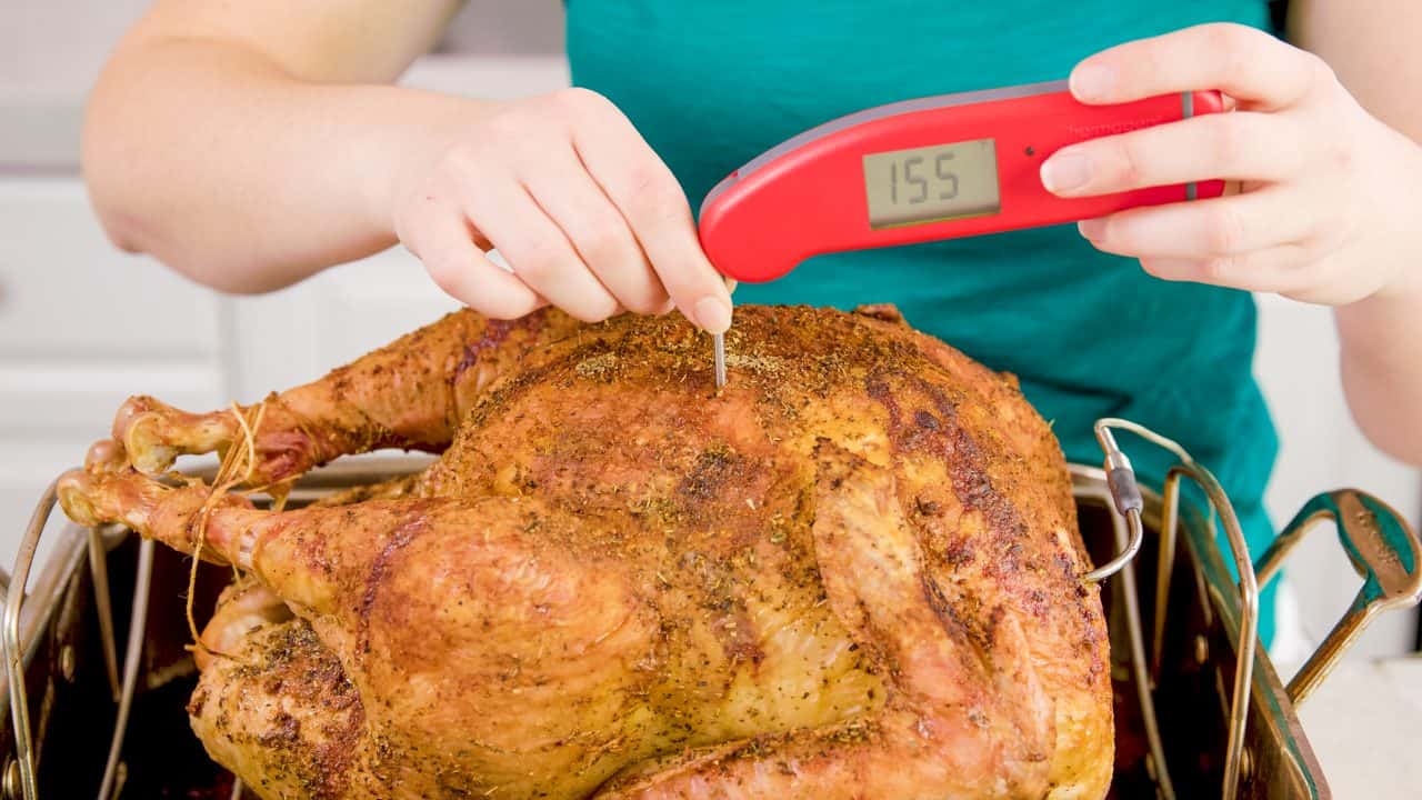 Taking Turkey breast internal temperature.