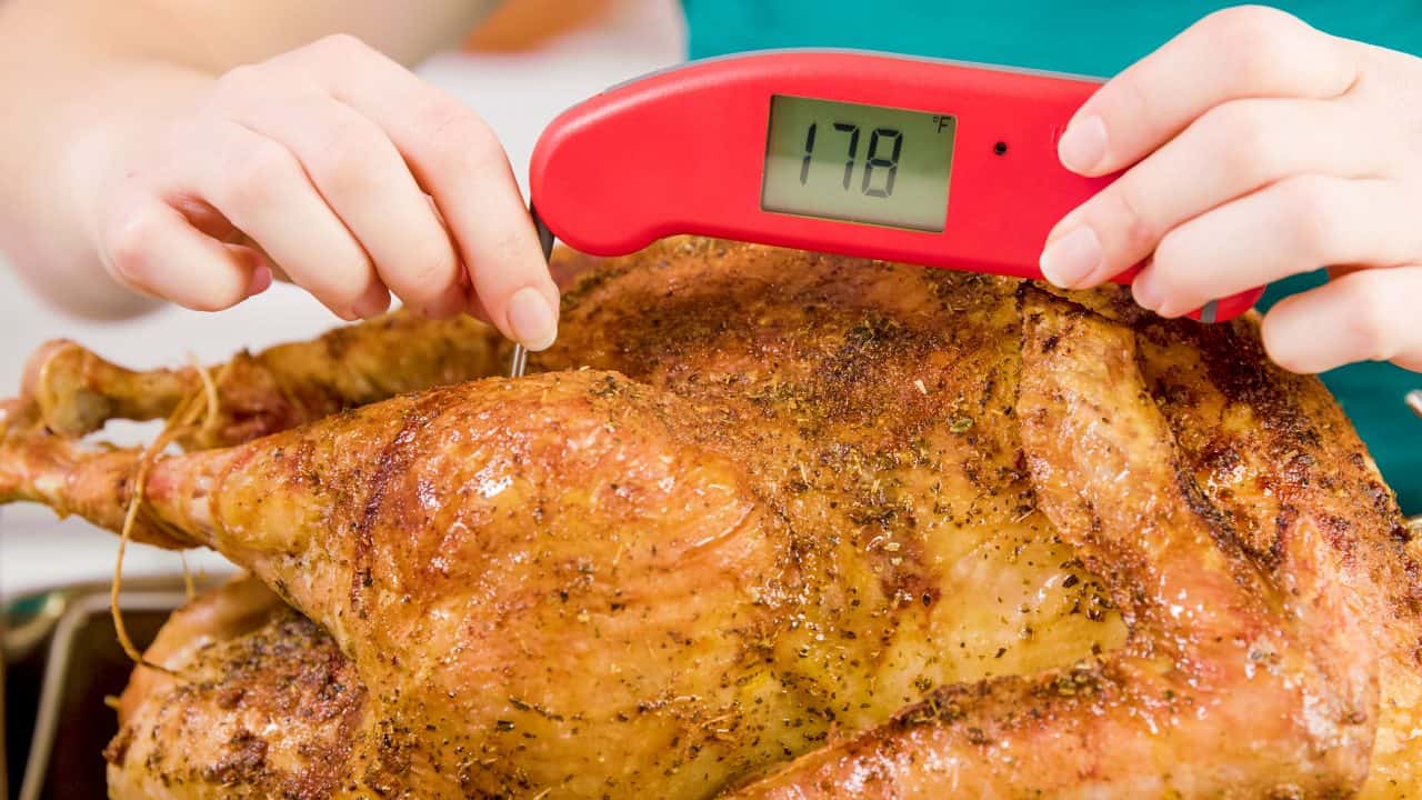 Taking Turkey dark meat internal temperature by the leg.