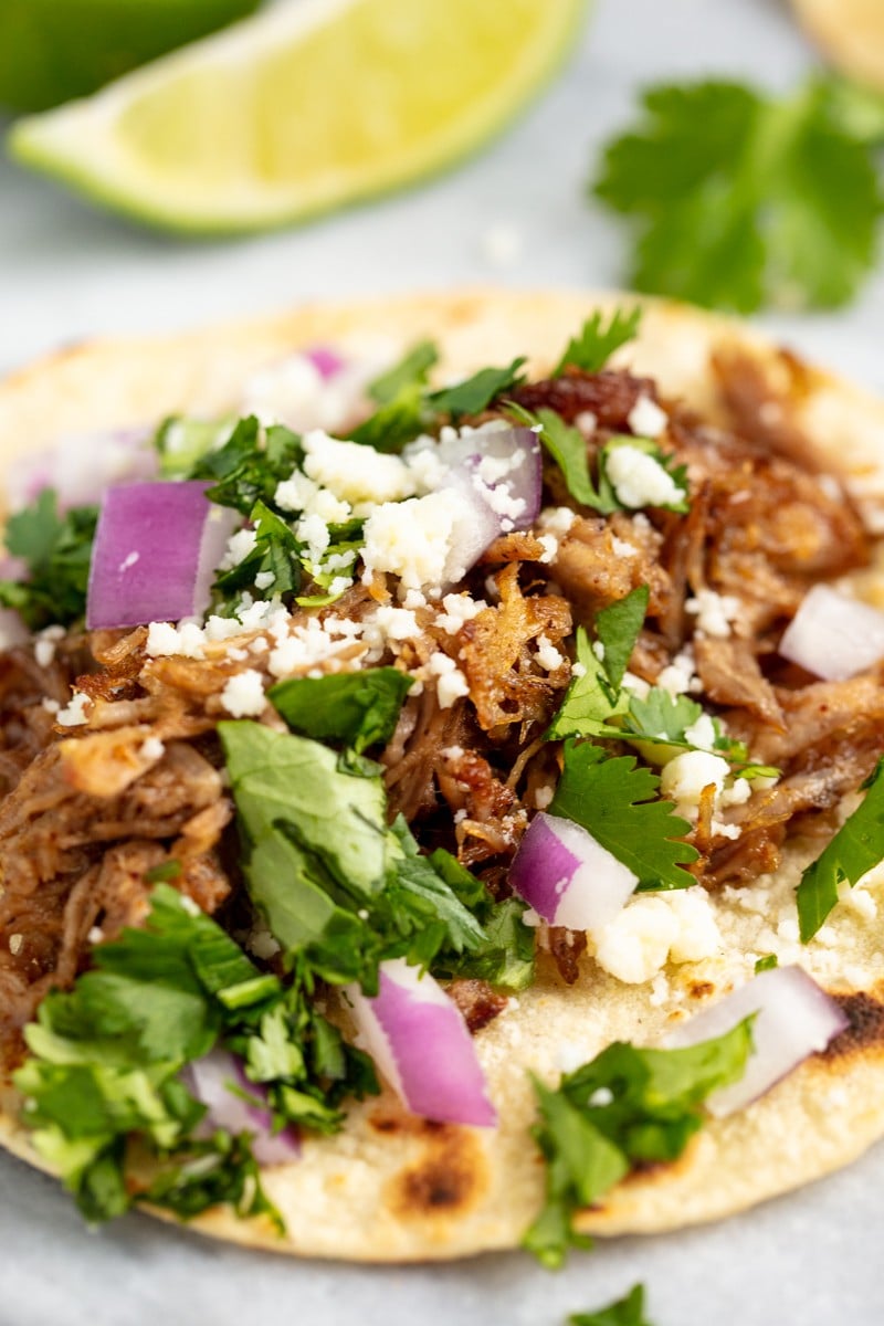 Close up of a Beer Braised Carnitas