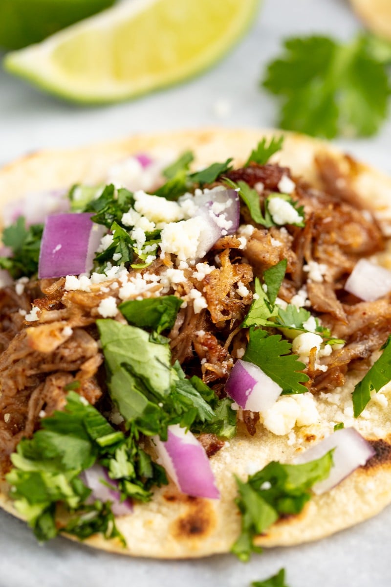 s very possible these are the best carnitas you Authentic Beer Braised Carnitas