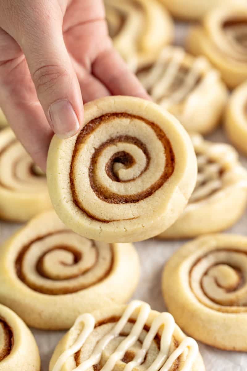 Hand holding a Cinnamon Roll Sugar Cookie.