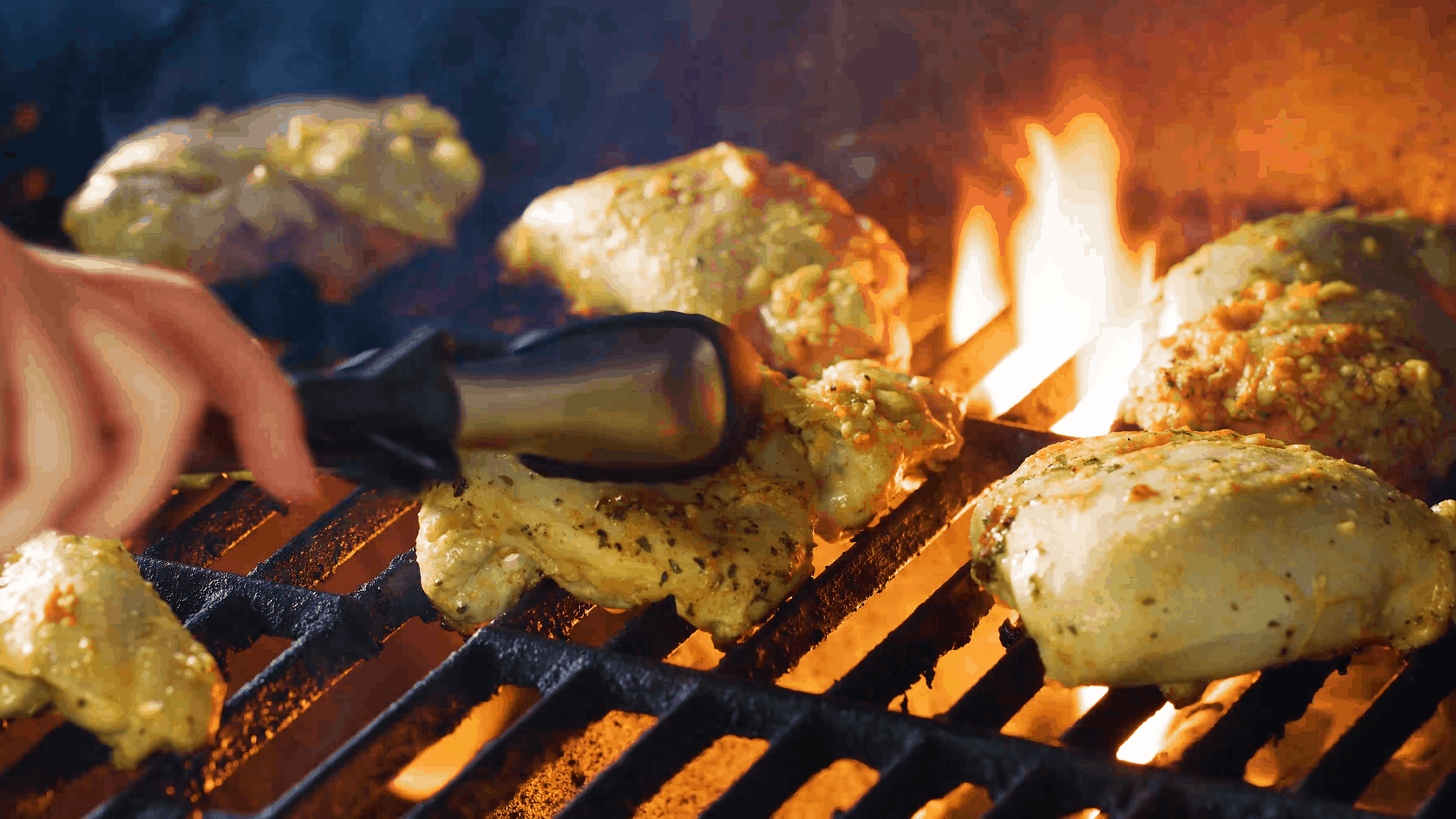 Grilled Chicken on the grill.