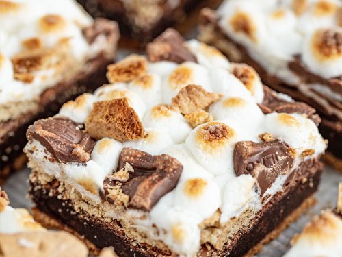 Decadent S Mores Brownies