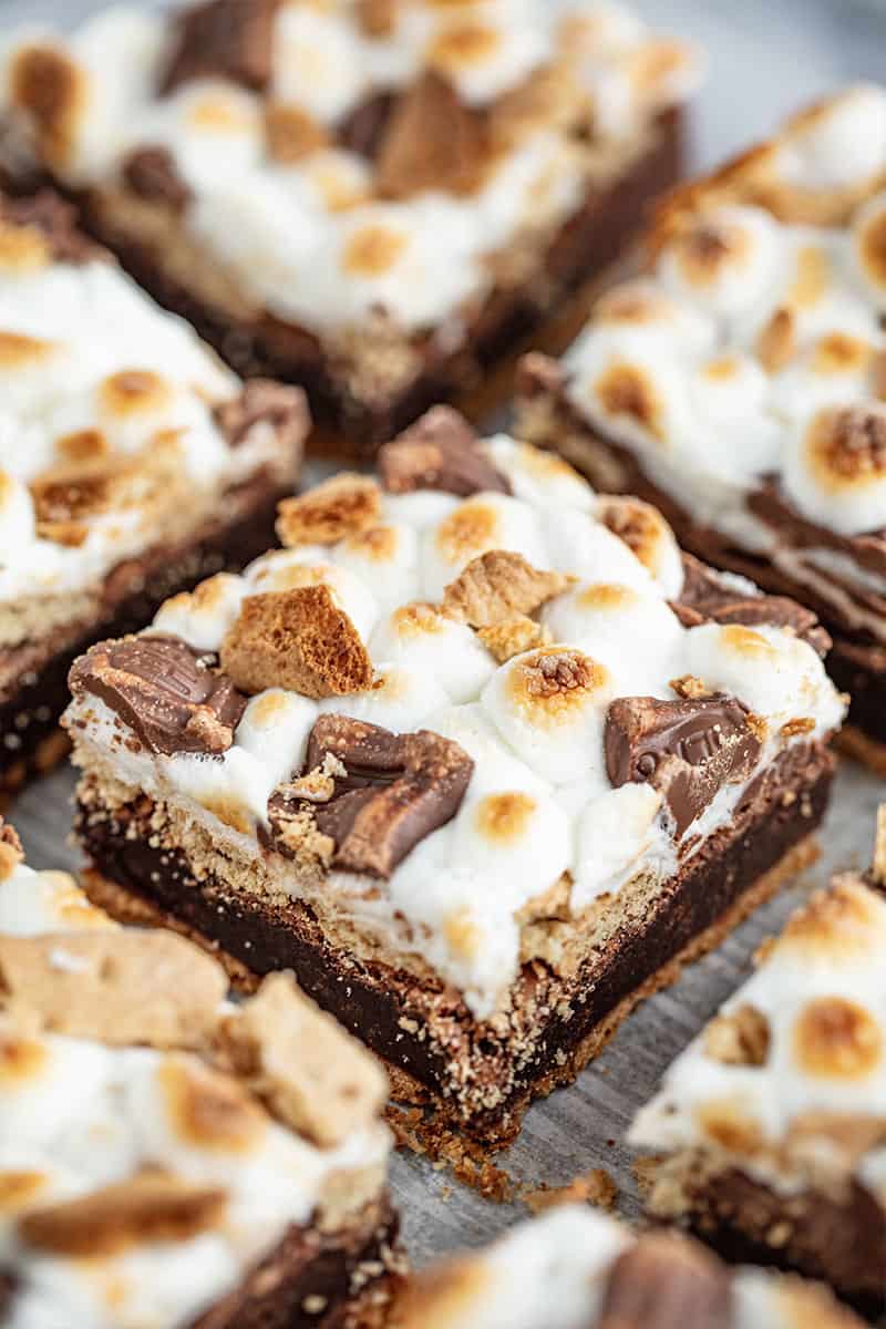 re rich and fudgy with crispy graham cracker pieces and gooey marshmallows Decadent S’mores Brownies