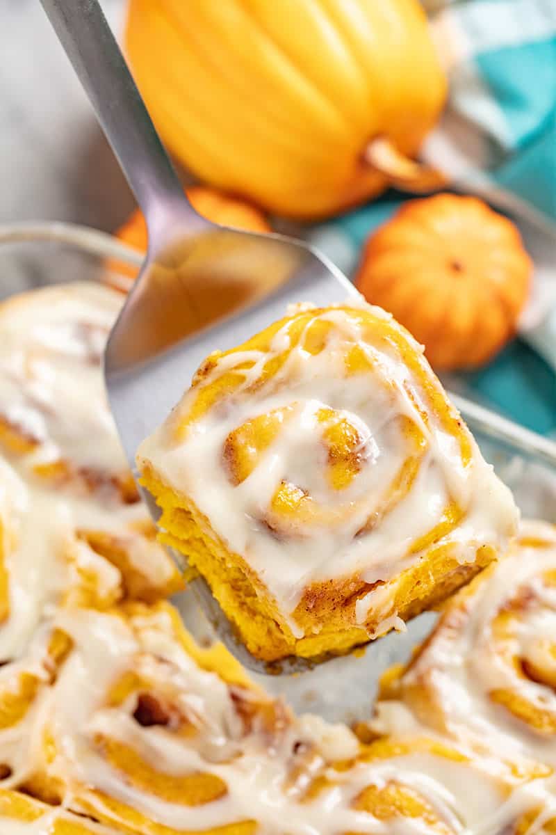 Pumpkin Cinnamon Roll being held up with a metal spatula. 