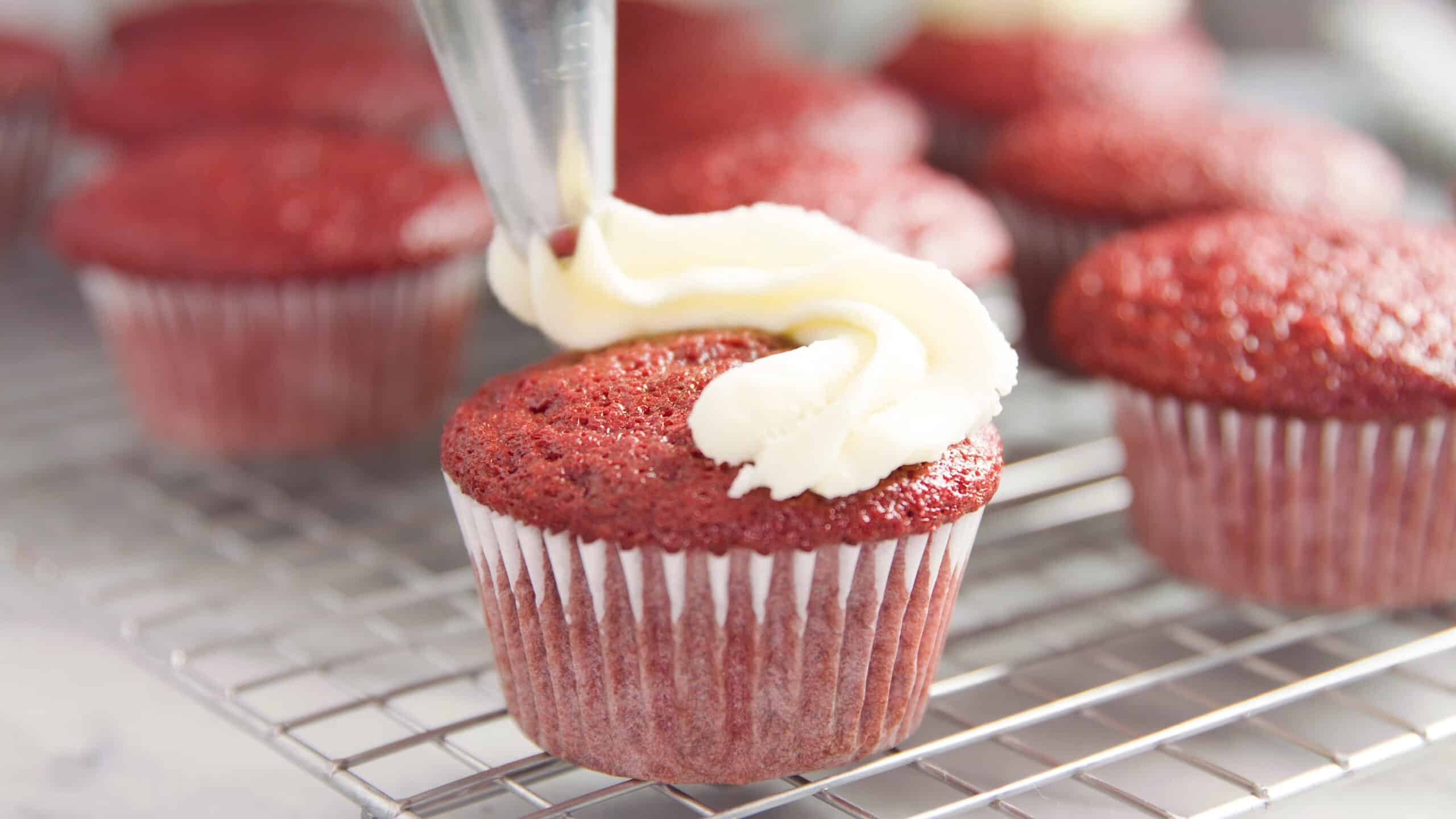 Close-up view of a single red velvet cupcake with paper liner and white creamy Ermine Icing being topped onto the cupcake with a piping bag.