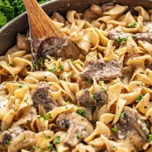 Beef stroganoff with sliced mushrooms on egg noodles stirred with a wooden spoon, parsley in background