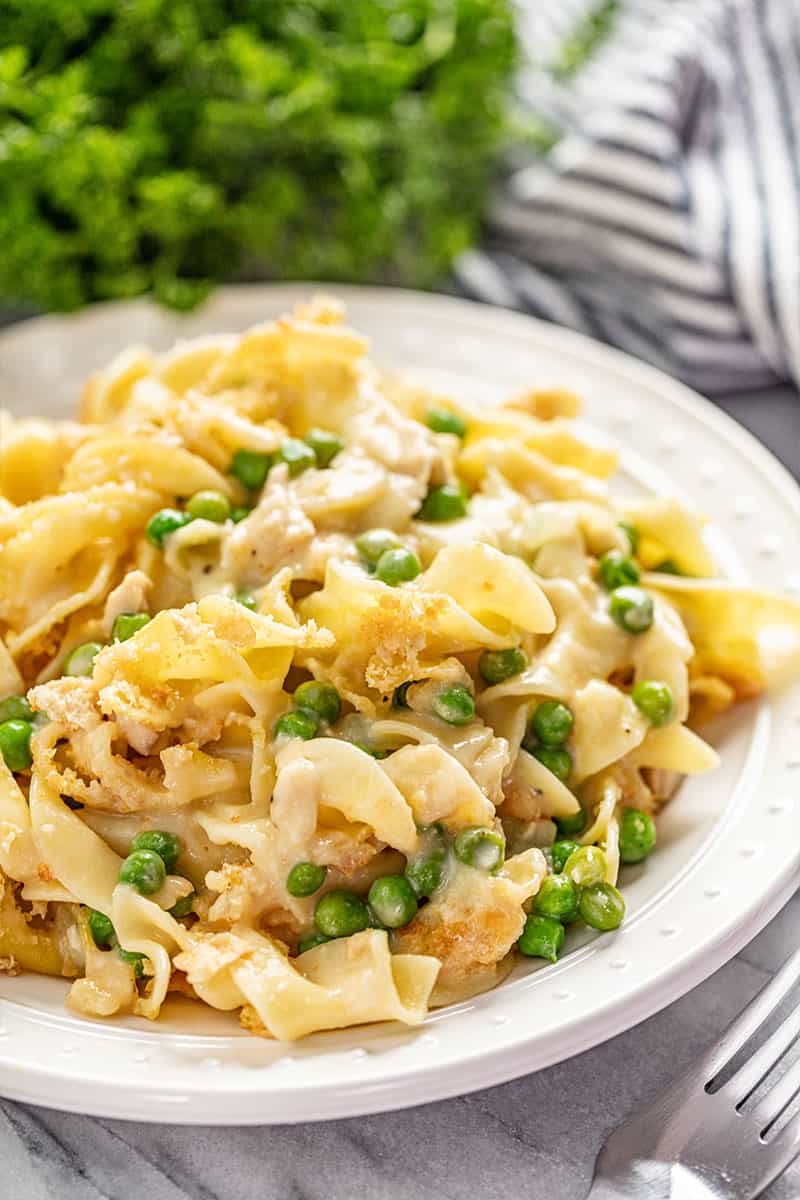 Creamy chicken casserole on white plate.