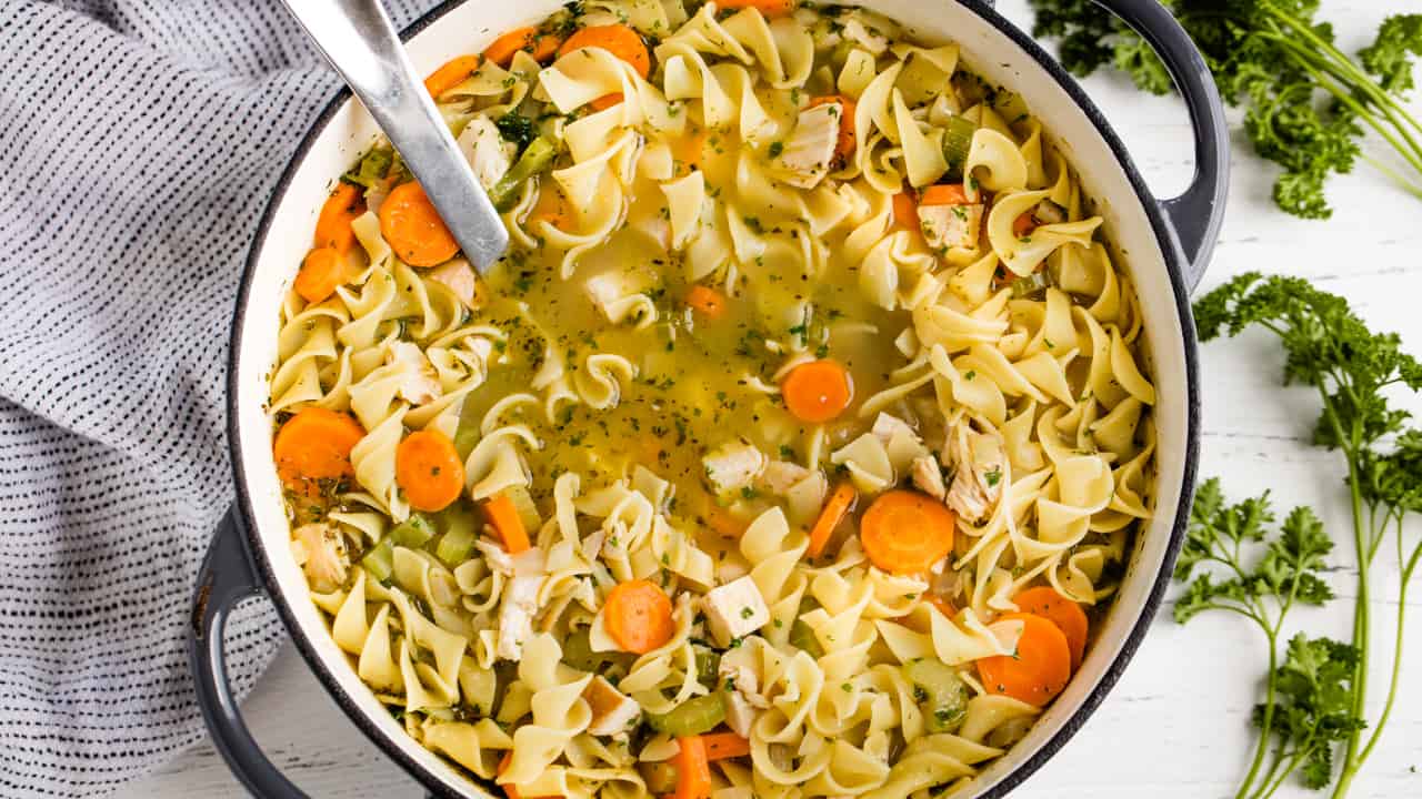 Chicken noodle soup in stock pot