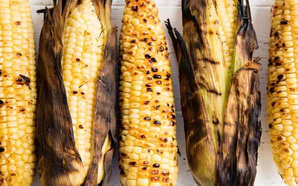 A row of grilled corn on the cob