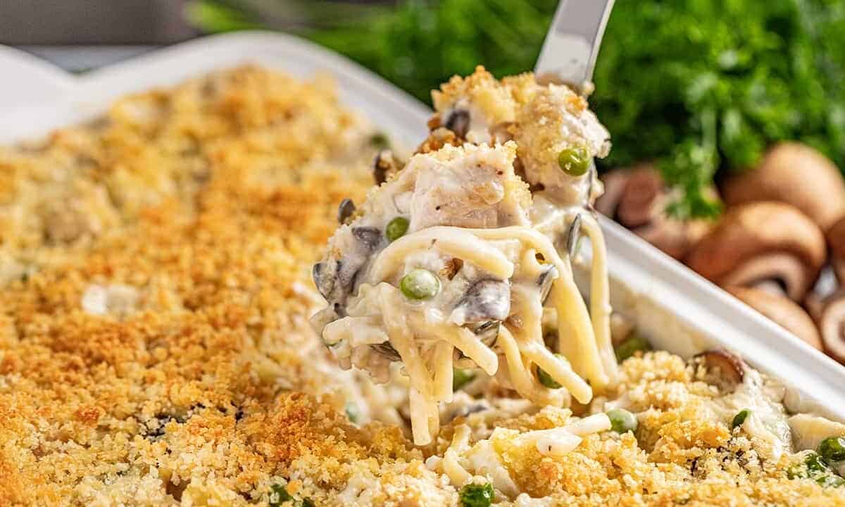 Serving a spoonful of cheesy chicken tetrazzini out of a baking dish