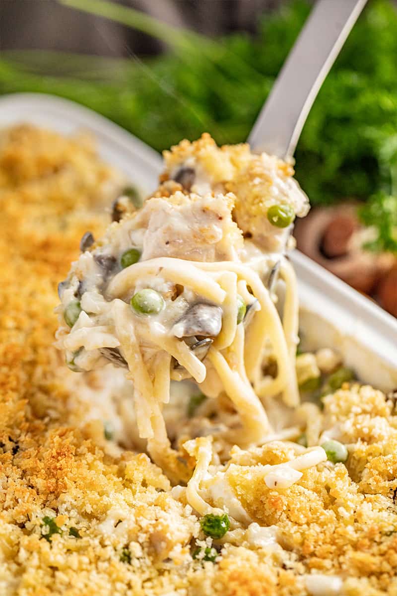 Creamy Chicken Tetrazzini com - 45