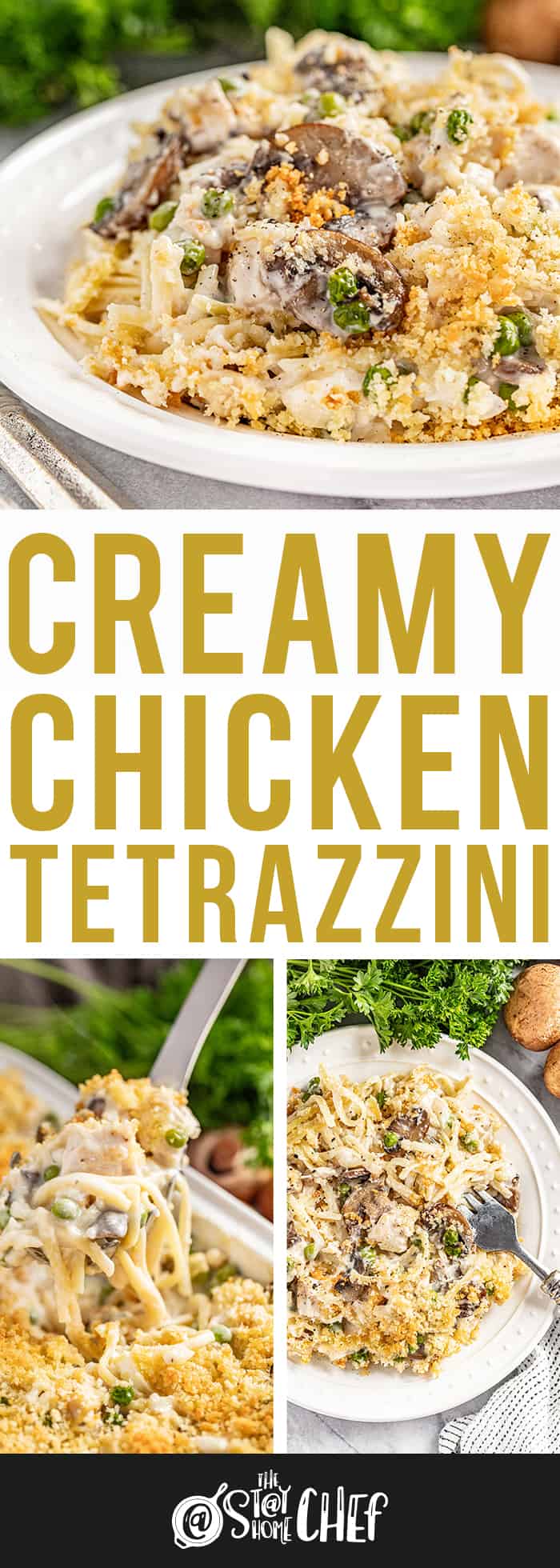 Creamy Chicken Tetrazzini