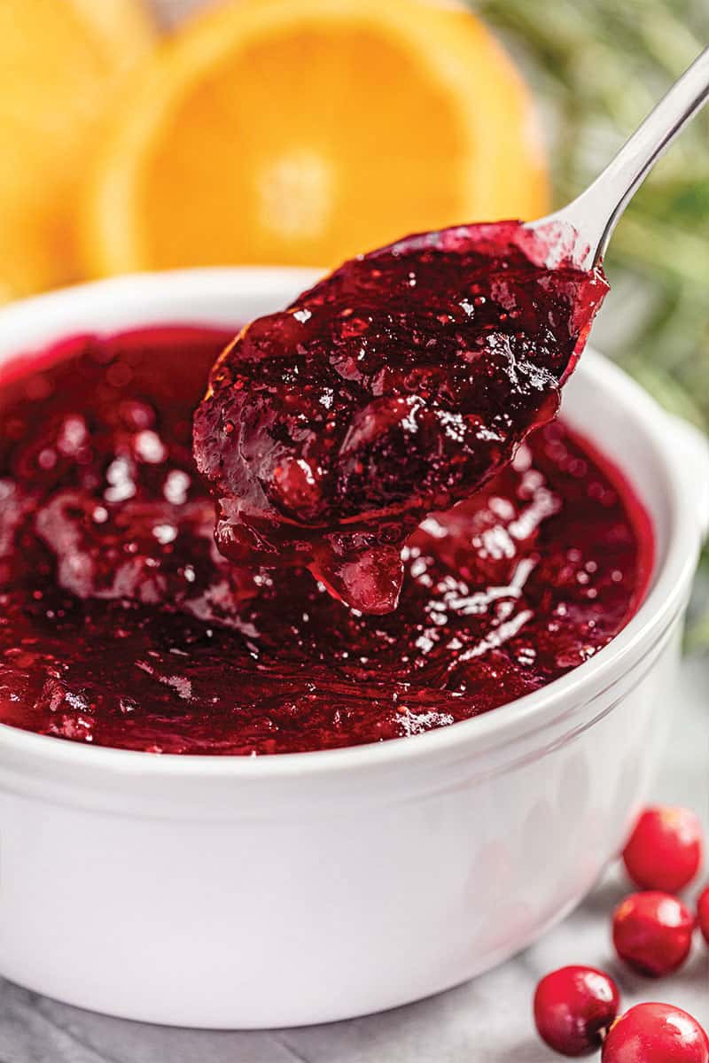 a spoon dipped into a bowl of cranberry sauce.