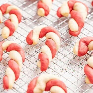 red and white twisted candy cane cookies.