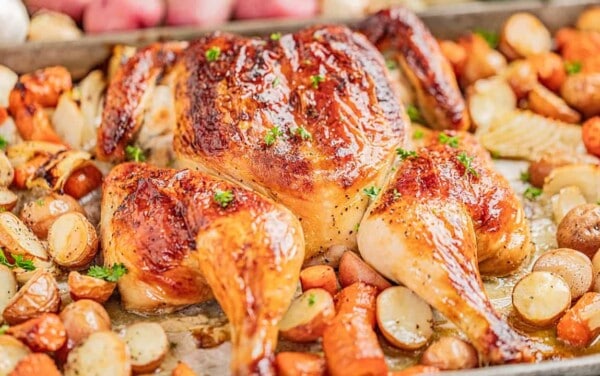 A spatchcock chicken on a baking sheet with carrots and potatoes.