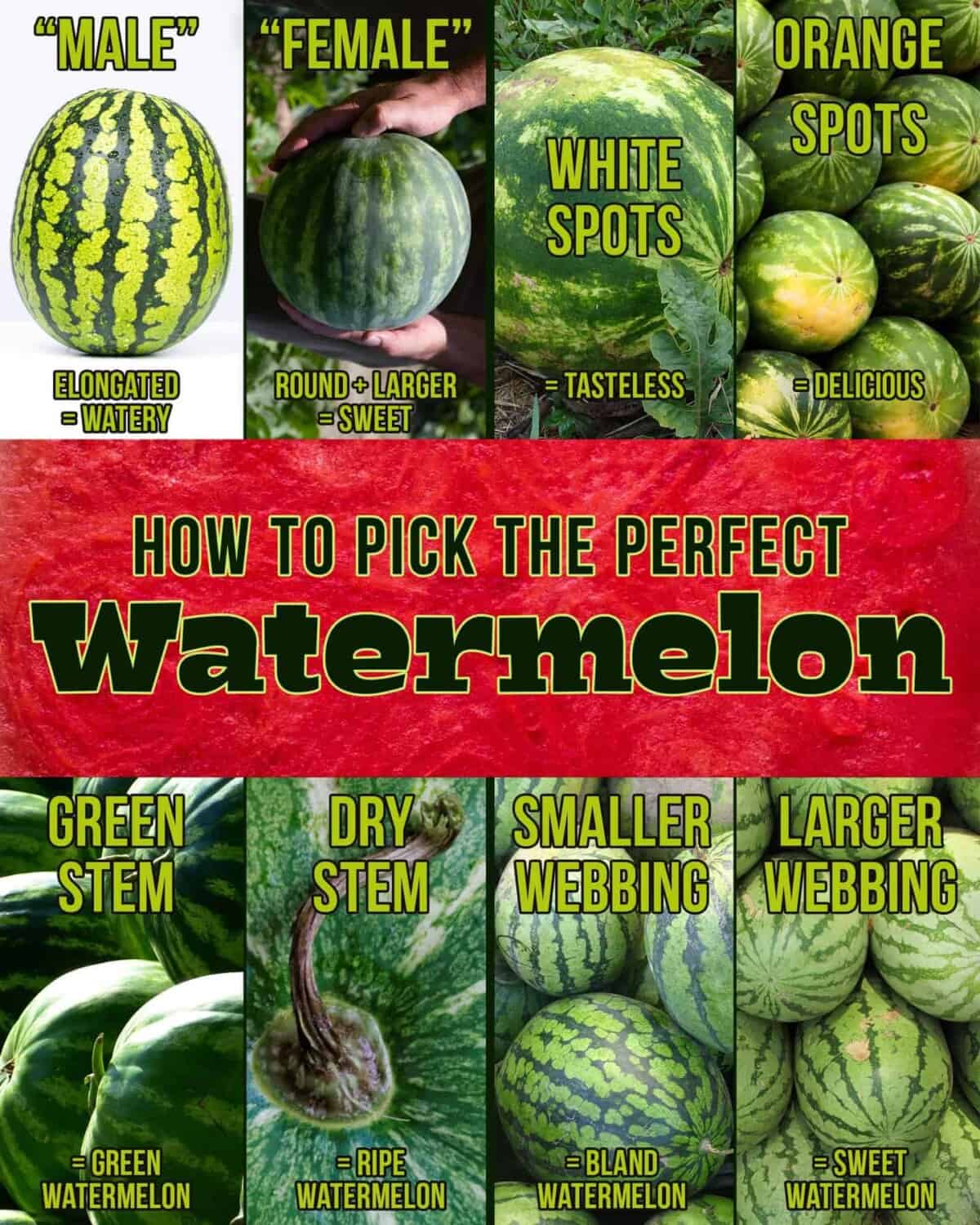 How To Pick A Good Watermelon At The Grocery Store