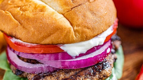 https://thestayathomechef.com/wp-content/uploads/2021/08/The-Best-Ever-Turkey-Burger-9-480x270.jpg