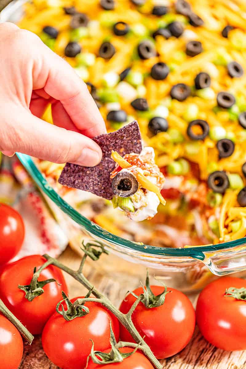 Ultimate 7 Layer Dip com - 28